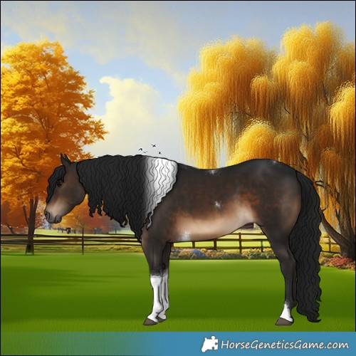 Horse Color:Gray Brown Tobiano 