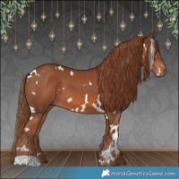 Horse Color:White Spotted Chestnut 