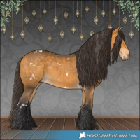 Horse Color:White Spotted Buckskin