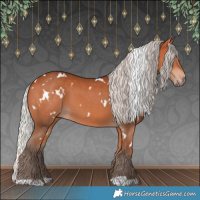 Horse Color:White Spotted Silver Bay 