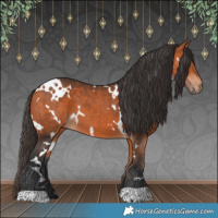 Horse Color:White Spotted Bay 