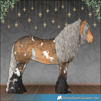 Horse Color:White Spotted Silver Buckskin