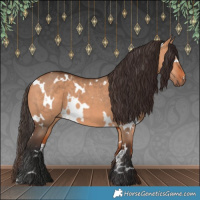 Horse Color:White Spotted Bay Dun