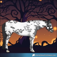 Horse Color:Black Ice Tobiano Frame 