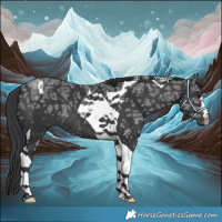 Horse Color:Black Ice Tobiano 