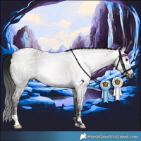 Horse Color:Gray Grullo Ice Roan