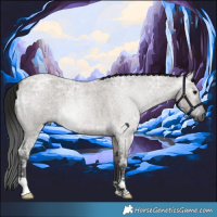 Horse Color:Gray Grullo Ice Roan 