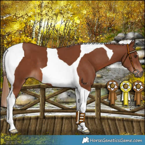 Horse Color:Chestnut Tobiano 