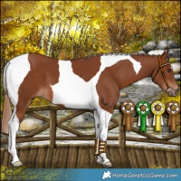 Horse Color:Chestnut Tobiano 