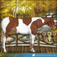 Horse Color:Chestnut Tobiano 