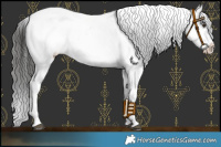 Horse Color:Liver Chestnut Fewspot 