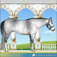Horse Color:Gray Buckskin Sabino