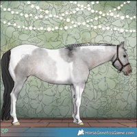 Horse Color:Brown Roan Tobiano 