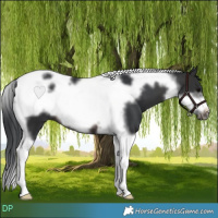 Horse Color:Brown Tobiano Frame 
