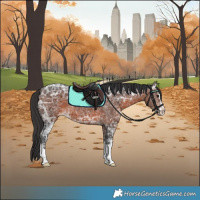 Horse Color:Brown Ice Appaloosa 