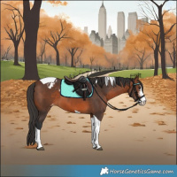 Horse Color:Brown Sabino Tobiano Appaloosa 