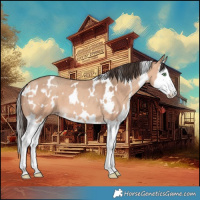 Horse Color:White Spotted Amber Champagne Splash 