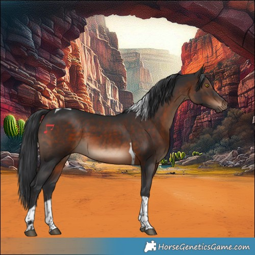 Horse Color:Brown Tobiano 