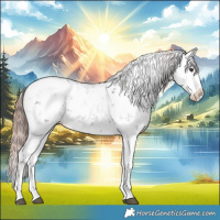 Horse Color:Liver Chestnut Sabino Splash Appaloosa 