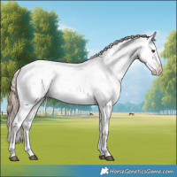 Horse Color:Liver Chestnut Sabino Splash Snowflake Varnish
