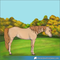 Horse Color:Red Dun 