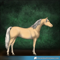 Horse Color:Palomino 