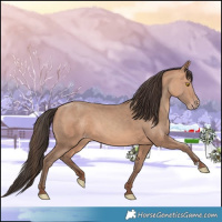 Horse Color:Amber Champagne