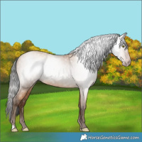 Horse Color:Gray Amber Champagne