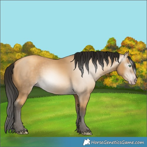 Horse Color:Gray Amber Cream Champagne 
