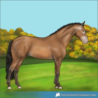 Horse Color:Gray Amber Champagne 