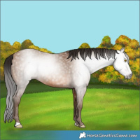 Horse Color:Gray Amber Champagne 
