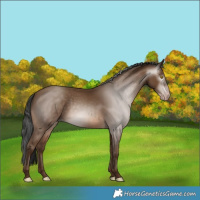 Horse Color:Gray Sable Champagne 