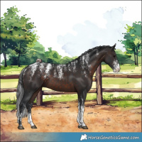 Horse Color:Brown 