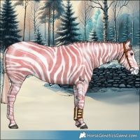 Horse Color:Chocolate Palomino Roan Splash 