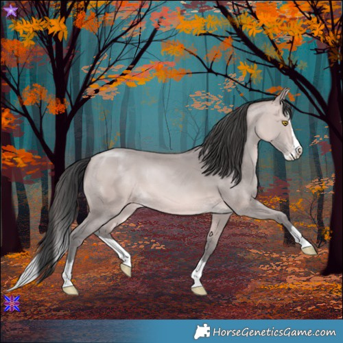 Horse Color:Platinum Sable Champagne Splash 