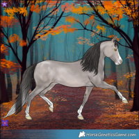 Horse Color:Platinum Sable Champagne Splash 