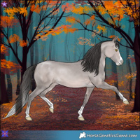 Horse Color:Platinum Sable Champagne Splash