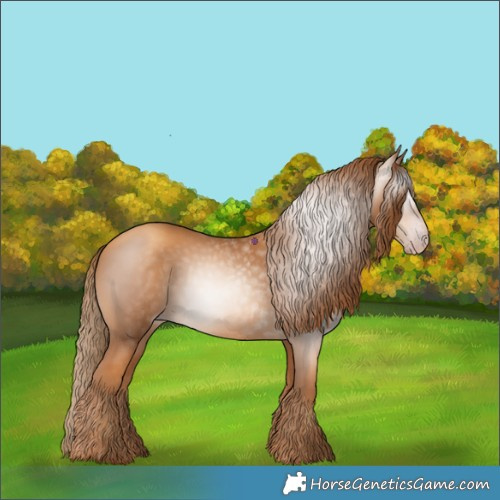 Horse Color:Gray Gold Champagne 