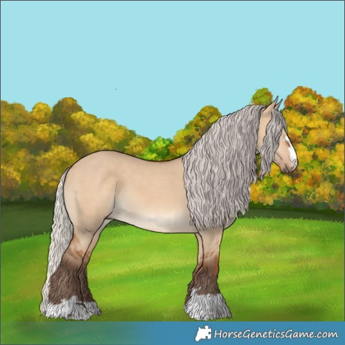Horse Color:Silver Bay Dun
