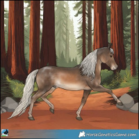 Horse Color:Chestnut Mushroom 