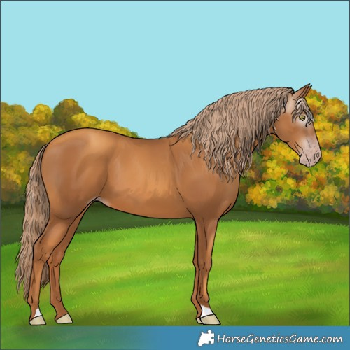 Horse Color:Gray Gold Champagne