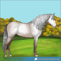 Horse Color:Gray Amber Champagne 