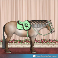 Horse Color:Gray Amber Champagne 