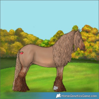 Horse Color:Red Dun 