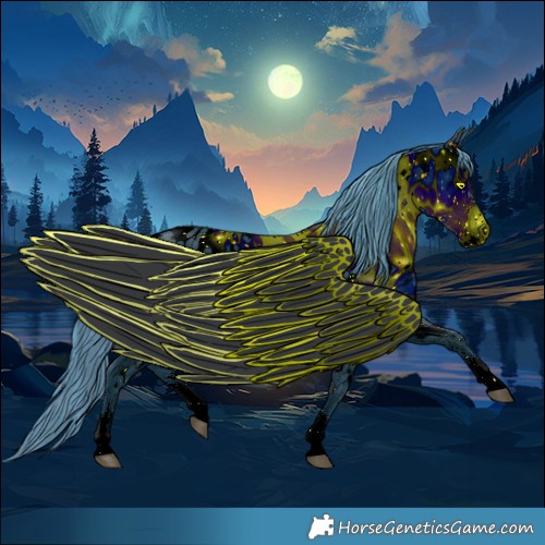 Horse Color:ERROR: UNKNOWN ANOMALY