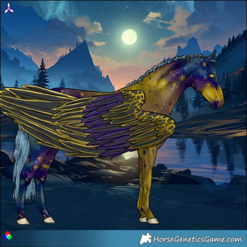 Horse Color:ERROR: UNKNOWN ANOMALY