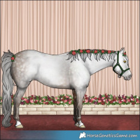 Horse Color:Gray Amber Champagne 