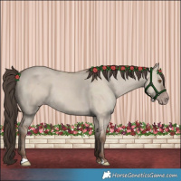 Horse Color:Classic Champagne Dun 