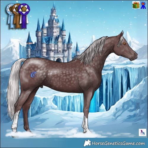 Horse Color:Chocolate Silver Black Chinchilla Tobiano 