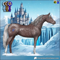 Horse Color:Chocolate Silver Black Chinchilla Tobiano 